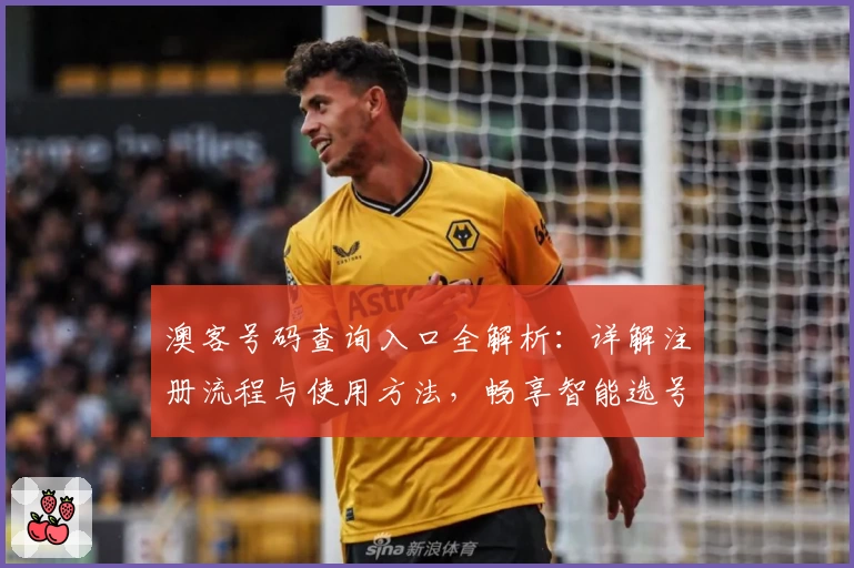 澳客号码查询入口全解析:详解注册流程与使用方法,畅享智能选号新体验