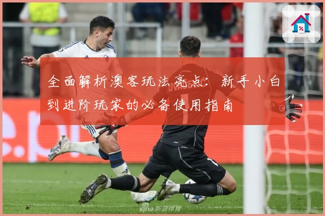 全面解析澳客玩法亮点：新手小白到进阶玩家的必备使用指南