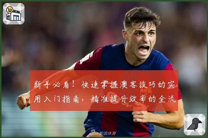 新手必看!快速掌握澳客技巧的实用入门指南,精准提升效率的全流程攻略